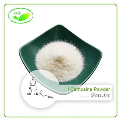 L Carnosine Powder